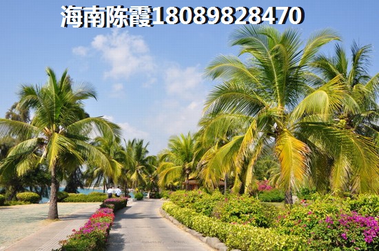 山东环境优缺点分析