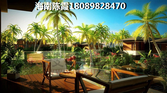 临天下 一居  户型图