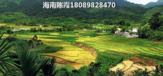 星河城商铺实景图